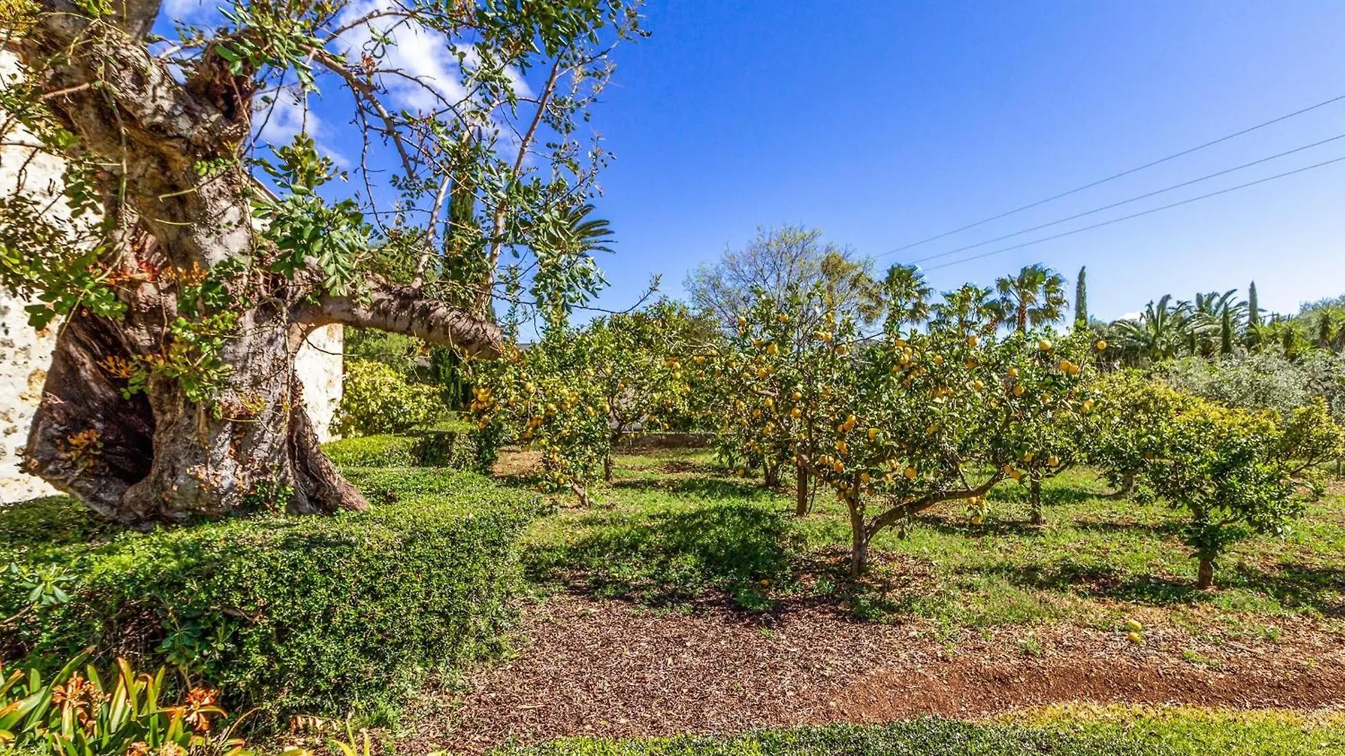 Beautiful Pollensa Villa 4 Bedrooms Villa Bennassar Mountainside Views Short Drive To Town Beach
